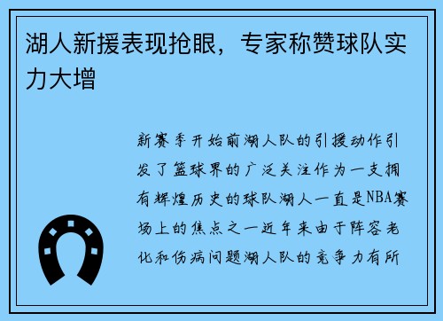 湖人新援表现抢眼，专家称赞球队实力大增